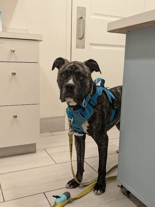 River Road Veterinary Hospital 9