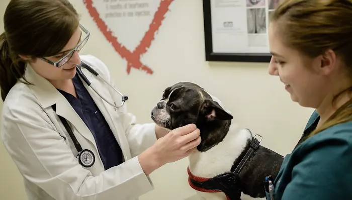 Lakeview Veterinary Hospital 1