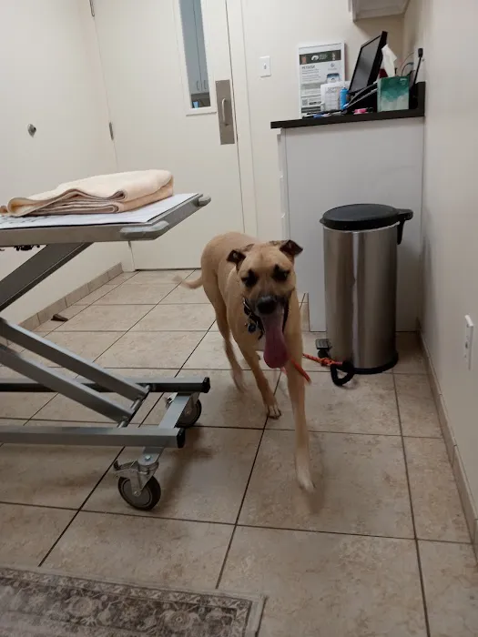 Lakeview Veterinary Hospital 5