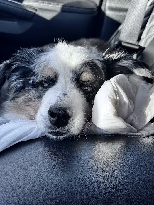 Ark Animal Hospital 1