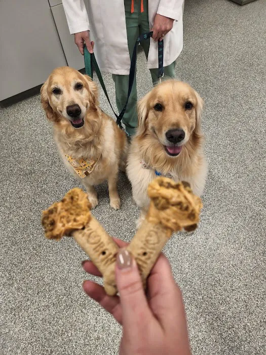 Ark Animal Hospital 6