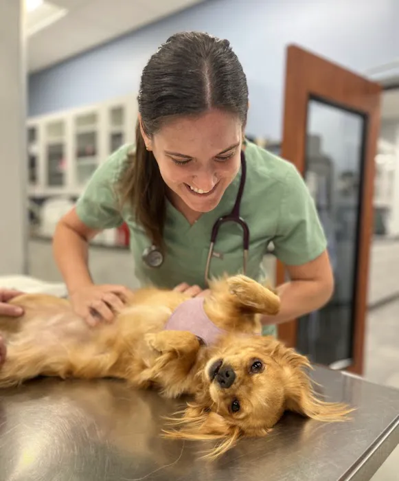 Ark Animal Hospital 5