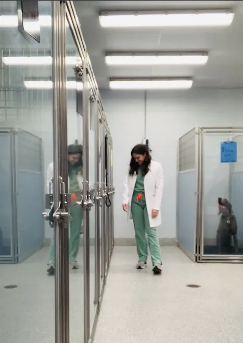 Ark Animal Hospital 4