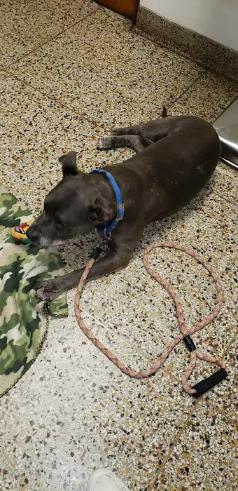 Ark Animal Hospital 8