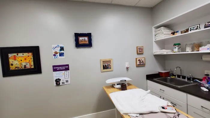 Wisdom Animal Hospital 7