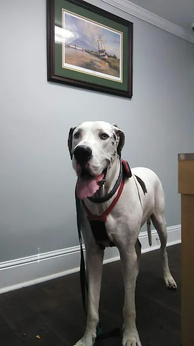 Healthy Paws Animal Hospital LLC 6