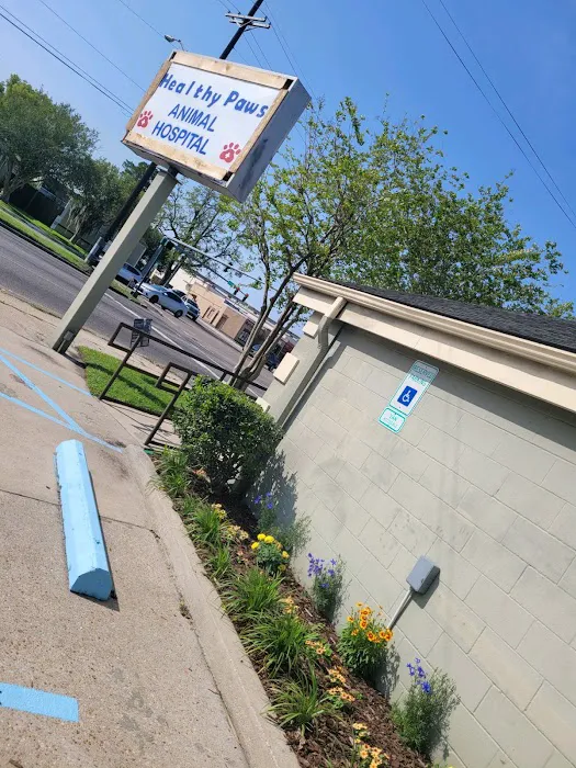 Healthy Paws Animal Hospital LLC 2