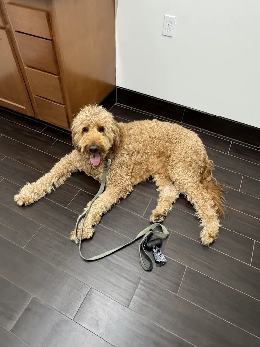 LocalVet Urgent Care 4