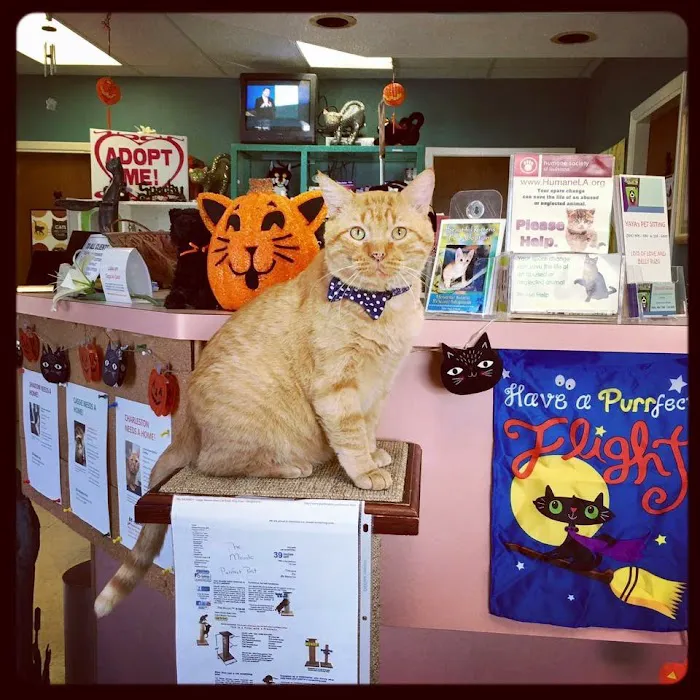 Cat Hospital of Metairie 12