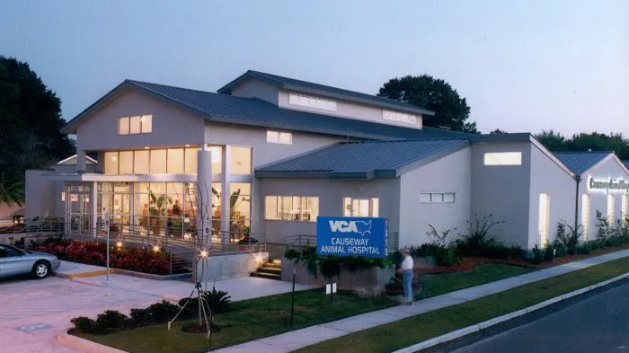 VCA Causeway Animal Hospital 2