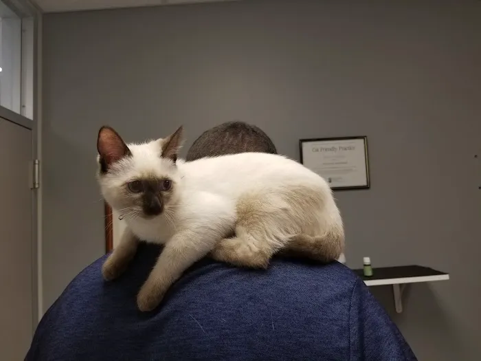 VCA Causeway Animal Hospital 5