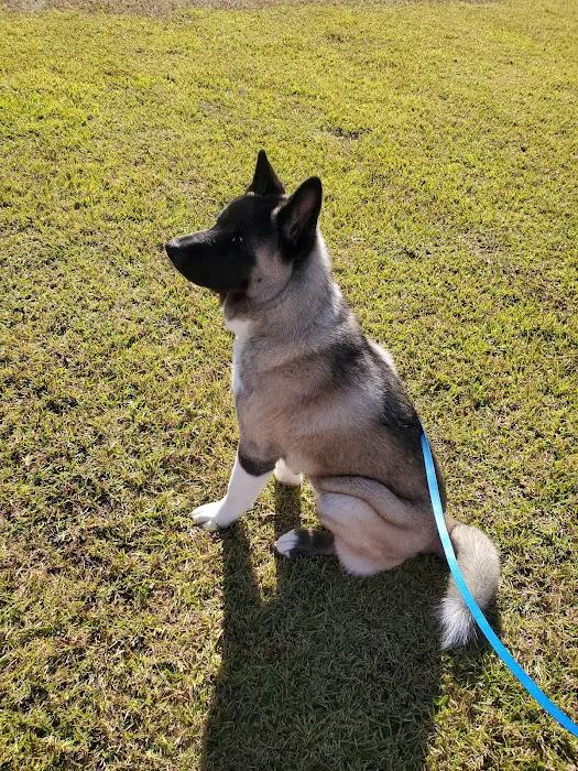 NOLA Animal Clinic 12