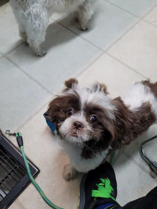 NOLA Animal Clinic 12