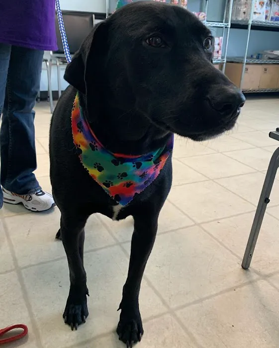 NOLA Animal Clinic 12