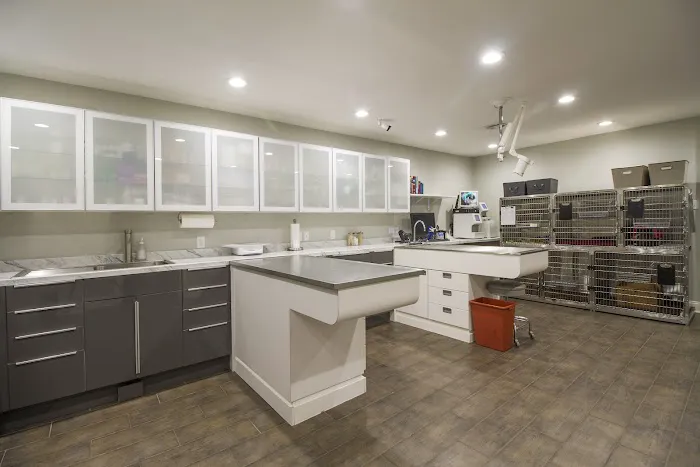 Southshore Animal Hospital 1