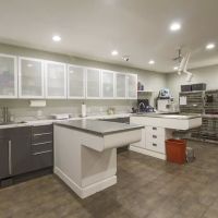 Southshore Animal Hospital ico