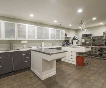 Southshore Animal Hospital