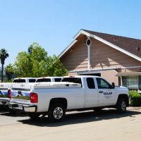 East County Large and Small Animal Practice ico