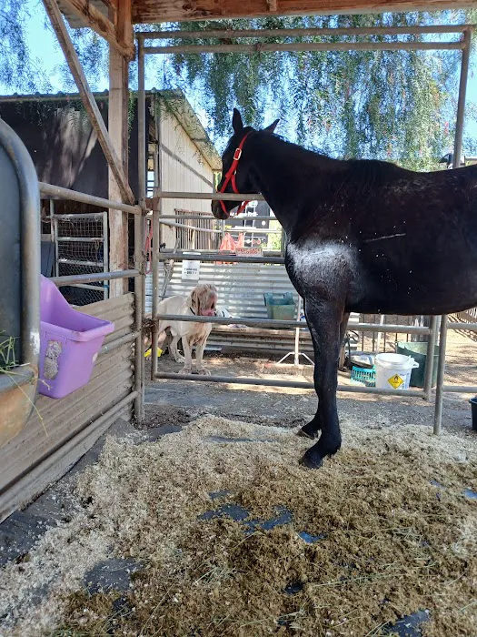 East County Large and Small Animal Practice 8
