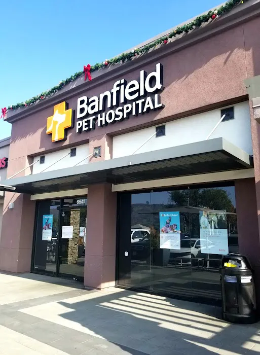 Banfield Pet Hospital 1
