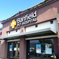 Banfield Pet Hospital ico