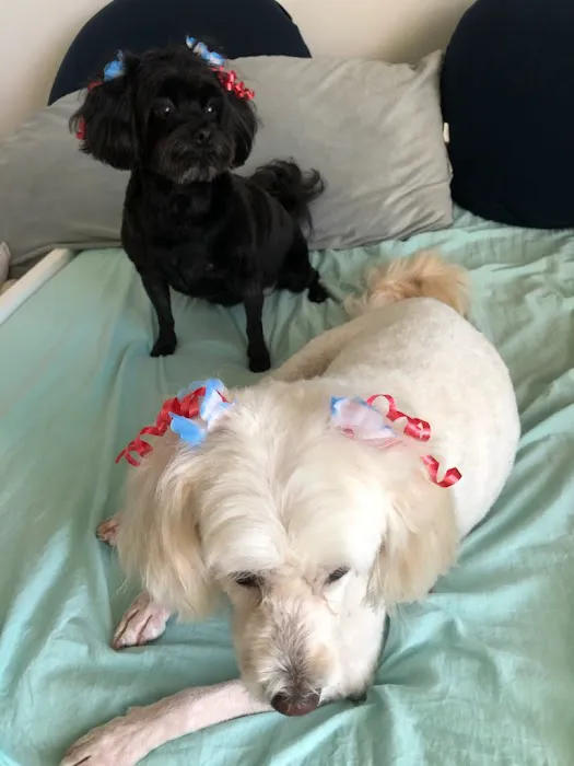 Banfield Pet Hospital 8