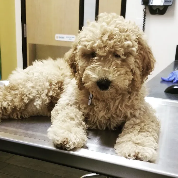Banfield Pet Hospital 10