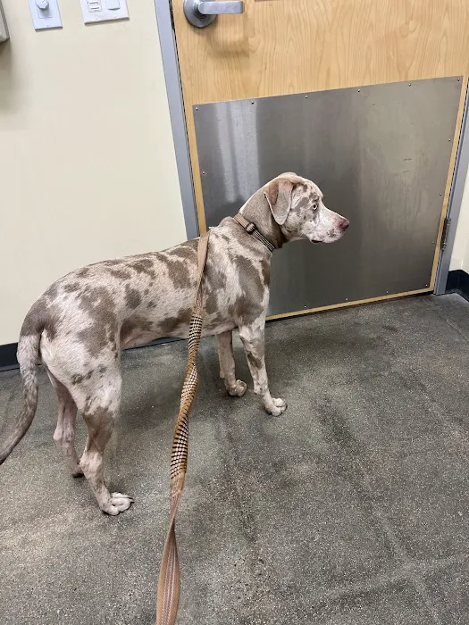 Vetco Total Care Animal Hospital 8