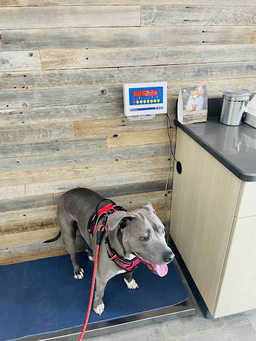 Vetco Total Care Animal Hospital 6