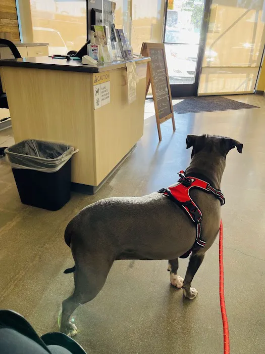 Vetco Total Care Animal Hospital 10