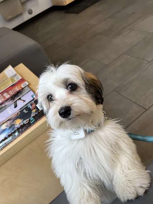 Banfield Pet Hospital 2