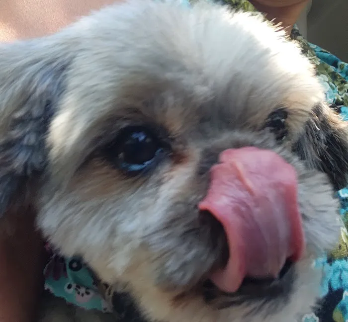 Banfield Pet Hospital 4