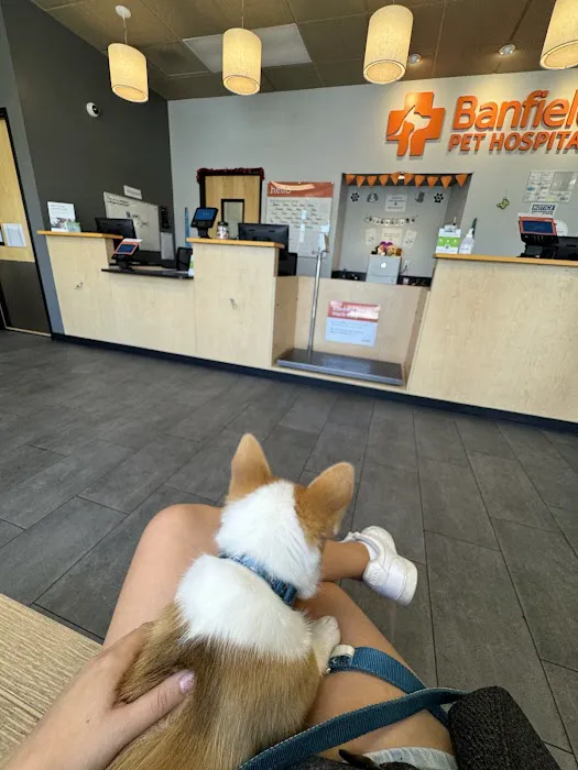 Banfield Pet Hospital 6