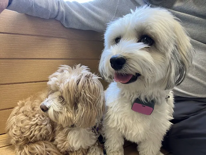 Banfield Pet Hospital 7