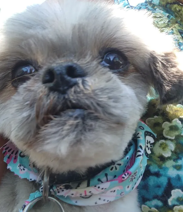 Banfield Pet Hospital 9