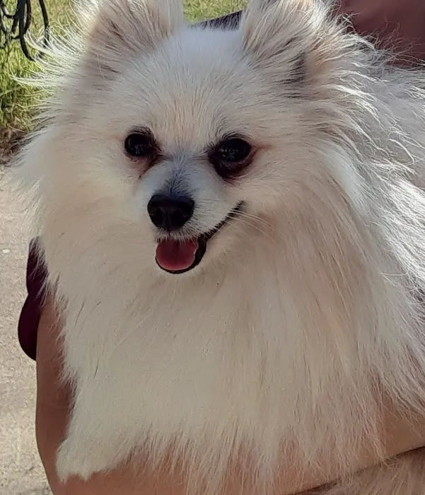 Colina Veterinary Hospital 7