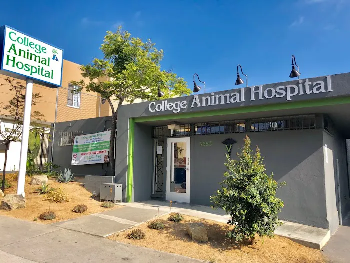 College Animal Hospital 12