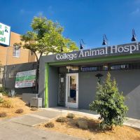 College Animal Hospital ico