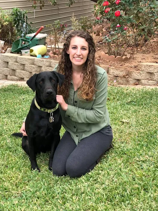College Animal Hospital 12