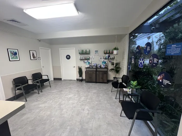 VCA Bonita Animal Hospital 3