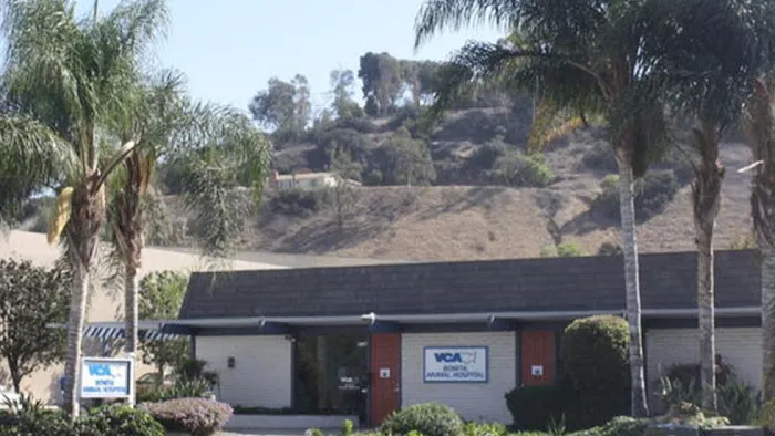 VCA Bonita Animal Hospital 1