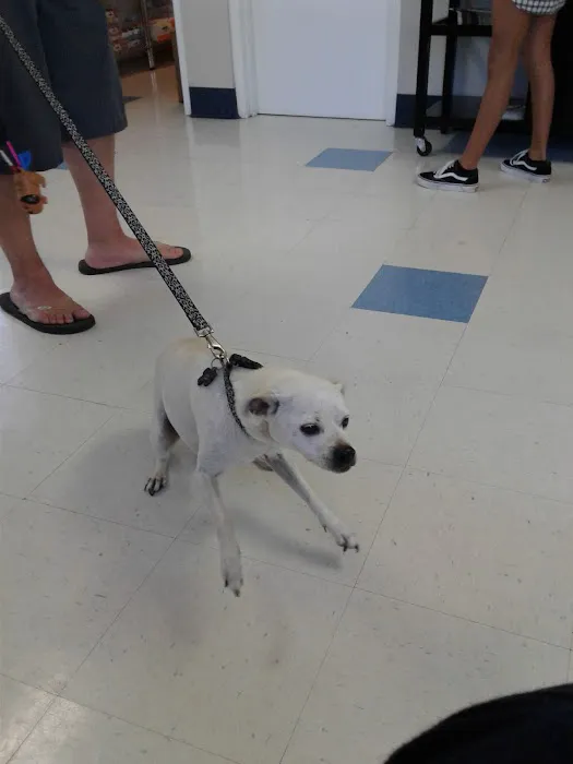 VCA Bonita Animal Hospital 10