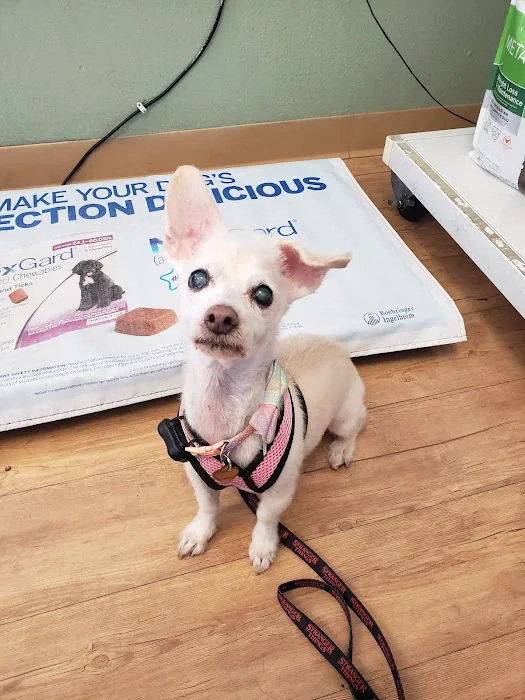 Plaza Boulevard Pet Hospital 1