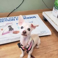 Plaza Boulevard Pet Hospital ico