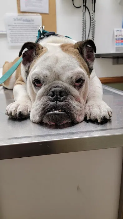 Plaza Boulevard Pet Hospital 4