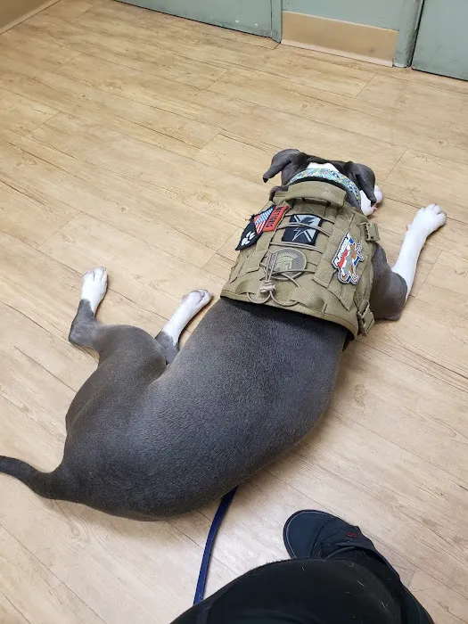 Plaza Boulevard Pet Hospital 5