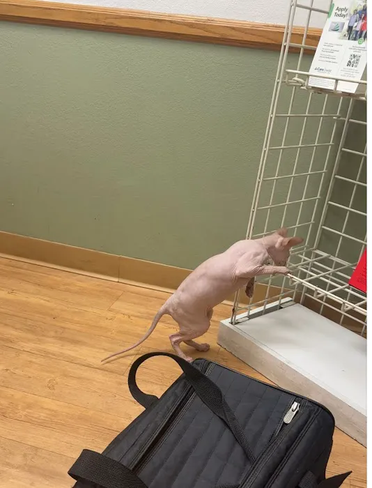 Plaza Boulevard Pet Hospital 6