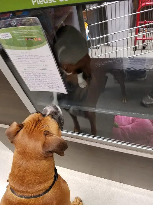 Banfield Pet Hospital 12