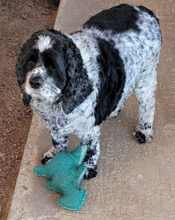 Banfield Pet Hospital 12