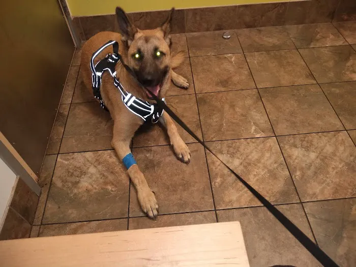 Banfield Pet Hospital 12